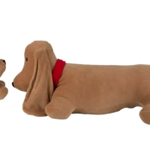 CACHORRA BASSE FIFI GRAVIDA COM FILHOTE