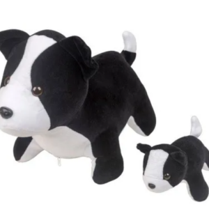 CACHORRO BORDER COLLIE GRÁVIDA COM FILHOTE