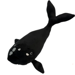 BALEIA FRANCA