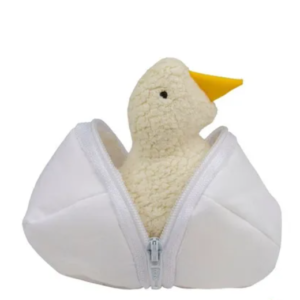 OVO COM 1 PINTINHO