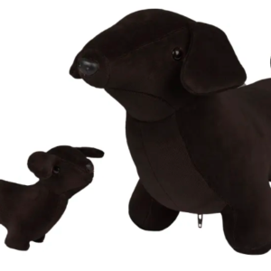 CACHORRO DACHSHUND GRÁVIDA COM FILHOTE