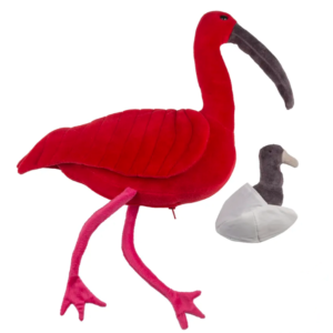 AVE GUARÁ GRÁVIDA COM FILHOTE
