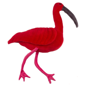 GUARÁ P