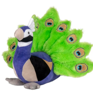 PAVÃO