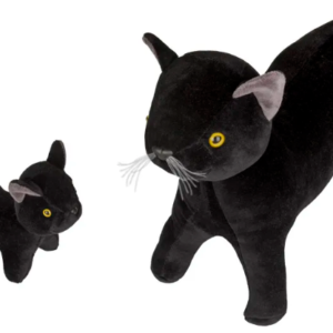 GATA VIRA LATA GRÁVIDA COM FILHOTE BRANCA / PRETA