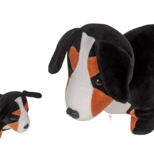 CACHORRO BERNESE GRÁVIDA COM FILHOTE
