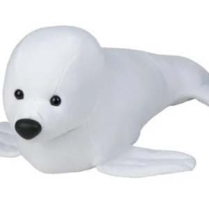 FOCA