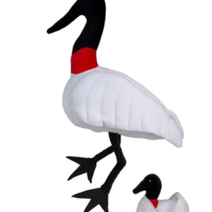 TUIUIU GRÁVIDA COM FILHOTE