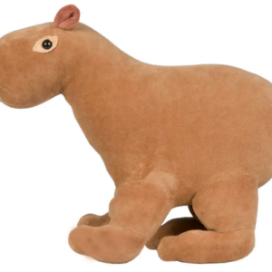 CAPIVARA ROI ROI G