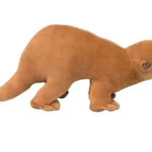 LONTRA G