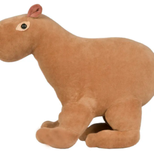 CAPIVARA ROI ROI P
