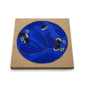 ARARA AZUL DO BRASIL